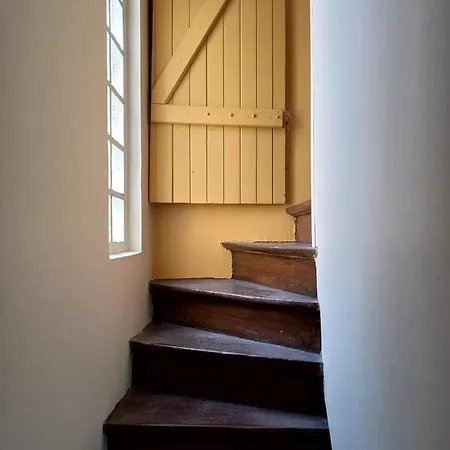 Le Des Geants Le Quesnoy (Nord)